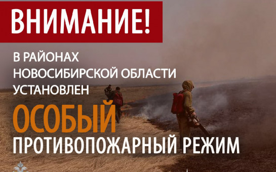 На территории Тогучинского района Новосибирской области установлен особый противопожарный режим с 25 апреля по 12 мая 2025 года.