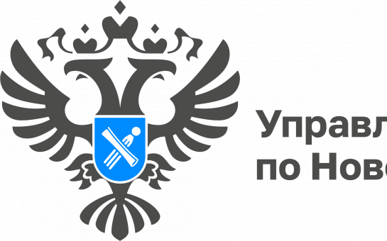 Комплексные кадастровые работы в Новосибирской области:  что необходимо знать собственникам участков