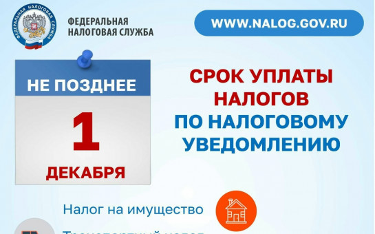Срок оплаты имущественных налогов — до 1 декабря 2025 года.
